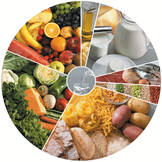 Resultado de imagem para roda dos alimentos brasileira - Ministério da Saúde